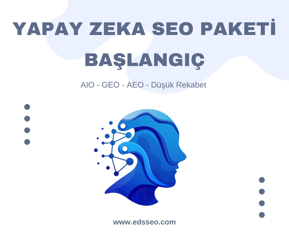 LLM Seo Paketi – Başlangıç